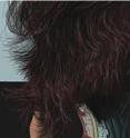 All hairs are simulated in this hybrid volumetric/geometric collision algorithm developed by two of the authors, Aleka McAdams and Joseph Teran (together with additional co-authors).