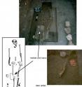 The torso and pelvis of this body, found in the floor of one of the homes Lucero excavated, had been removed. A matate and mano, used for grinding corn, were found near the right knee. A deer antler and pink quartzite stone were buried beneath the chest area.