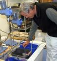 Bart Chadwick, head of the Environmental Sciences Branch of Space and Naval Warfare Systems Center Pacific, checks conditions in laboratory microbial fuel cells. The fuel cells may revolutionize naval energy use by converting decomposed marine organisms into electrical energy, offering a clean, efficient and reliable alternative to batteries and other environmentally harmful fuels.