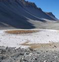 Don Juan Pond in Antarctica, a roughly 1,000- by 400-meter basin, is by far the saltiest body of water on Earth. The specks of red in this image are researchers who are dwarfed by the steep, rocky cliffs around them. Don Juan Pond in Antarctica, a roughly 1,000- by 400-meter basin, is by far the saltiest body of water on Earth. The specks of red in this image are researchers who are dwarfed by the steep, rocky cliffs around them.