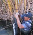 Bernabe Rico Hurtado downloads data from instruments placed in Cienega de Santa Clara to record water quality and water level. The cienega, located in Mexico, is the largest wetland on the Colorado River Delta.