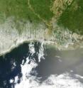 On April 29, the MODIS image on the Terra satellite captured a wide-view natural-color image of the oil slick  just off the Louisiana coast. The oil slick appears as dull gray interlocking comma shapes, one opaque and the other nearly transparent. Sunglint -- the mirror-like reflection of the sun off the water -- enhances the oil slick’s visibility. The northwestern tip of the oil slick almost touches the Mississippi Delta. Credit: NASA/Earth Observatory/Jesse Allen, using data provided courtesy of the University of Wisconsin’s Space Science and Engineering Center MODIS Direct Broadcast system.