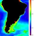 This satellite image of chlorophyll concentration, obtained from the SeaWiFS satellite, was used by researchers to understand how franciscana dolphin populations are formed by environmental barriers.