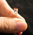 Hundreds of separate spots on this flake of silicon can be engineered to change color in response to many different chemicals. By capturing the pattern of color changes using a new kind of supermacro lens, researchers plan to create a versatile sensor small enough to fit into a cell phone that can recognize a wide variety of chemical hazards.