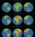 Global maps of observed local extinctions in 2009, and projections for 2050 and 2080 based on geographic distributions of lizard families of the world.