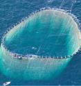 Sustainable fishing is possible and necessary.