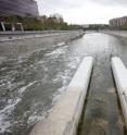 A recent study detected 88 pollutants Madrid's rivers.