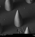 This scanning electron micrograph shows an array of biodegradable polyethylene glycol-based microneedles with antimicrobial properties.