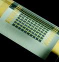 This is a flexible array of gallium arsenide solar cells. Gallium arsenide and other compound semiconductors are more efficient than the more commonly used silicon.