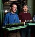 From the left are MSU plant biology research associate Timothy Durrett; Michael Pollard, visiting professor of plant biology; and John Ohlrogge, University Distinguished Professor, with <i>Arabidopsis</i> plants. From the left are MSU plant biology research associate Timothy Durrett; Michael Pollard, visiting professor of plant biology; and John Ohlrogge, University Distinguished Professor, with <i>Arabidopsis</i> plants.