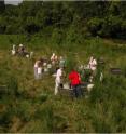 Students sample the more than 100 species of plants and animals that made a home in the ponds set in a field at Washington University's Tyson Research Center in the second half of a seven-year-long experiment.