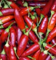 Chili peppers contain an ingredient that may cause weight loss and fight fat.