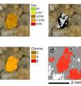 These are digital images of soil features classified by hue, value (lightness or darkness) and chroma (saturation). Computer-assisted classification of soil types can be a more robust alternative to comparing samples in the field with printed color charts. These are digital images of soil features classified by hue, value (lightness or darkness) and chroma (saturation). Computer-assisted classification of soil types can be a more robust alternative to comparing samples in the field with printed color charts.