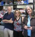 University of Utah molecular biologists Jerry Kaplan, Ivana De Domenico and Diane Ward have made a surprising discovery that hepicidin -- a hormone that helps regulate iron balance in the body -- can prevent deadly inflammation in mice. Their study raises hope that the substance someday might be used to combat a variety of human inflammatory diseases.