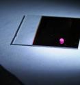 This image shows a new "hybrid optoelectric" device, developed by researchers at Purdue. The device uses a combination of light and electric fields to position droplets and tiny particles, such as bacteria, viruses and DNA, representing a potential new tool for medical diagnostics and crime-scene testing.