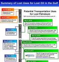 This is a summary of lost uses for lost oil in the Deepwater Horizon Spill, Gulf of Mexico.