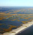 Mississippi River hydrology may hold a possible answer for protecting fragile Gulf wetlands.