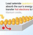 Xiaoyang Zhu and colleagues discovered that hot electrons can be transferred from photo-excited lead selenide nanocrystals to an electron conductor made of titanium dioxide. Their discovery points the way toward more efficient solar cells.