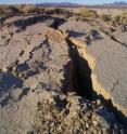 The Landers quake may have triggered another big quake, seven years later, at Hector Mine near Joshua Tree National Park.
