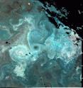 This near-true color MODIS satellite image shows a coccolithophore (phytoplankton) bloom in the Iceland Basin. Visible are the patches and filamentous structures of the bloom. The view is a bit like what you would see if you were an Astronaut in space and you took away Earth’s atmosphere.  The image is a composite for the period July 5-11, 2007. The image spans 14-26&#730;W, 55-62&#730;N.