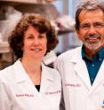 Indiana University School of Medicine scientists Katherine Kelly, M.D., (left) and Jesus Dominguez, M.D., report in the August issue of the <i>American Journal of Physiology -- Renal Physiology</i> that they were able to treat acute kidney failure in animal models using cells modified to produce a protein that normally is found when kidneys first develop in embryos.