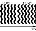 Computer simulation of the development of ocular dominance columns in a simple model with cortical growth. Black areas correspond to a preference for the left eye, white areas a preference for the right eye. The pattern is initially striped and slowly dissolves after the growth into a zigzag pattern. A similar rearrangement is also shown by experimental studies on the visual cortex of the cat.