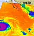 AIRS noticed that Celia has a very large area of them where clouds are so very high in the troposphere (to the tropopause) that they're as cold as -94 to -112 (-75 to -80 Celsius) Fahrenheit!