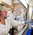University of Central Florida scientist Debopam Chakrabarti and a team of his students are analyzing more than 2,500 samples from marine organisms collected off deep sea near Florida's coast. Some of them could hold the key to developing drugs to fight malaria, a mosquito-borne illness that kills more than 1 million people worldwide annually.