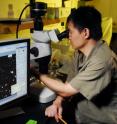 A study conducted by Georgia Tech biology assistant professor Lin Jiang challenges the intermediate disturbance hypothesis, which suggests that at high levels of disturbance, competition is not an important factor.