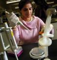 Dr. Ratna Sharma-Shivappa and her colleagues at North Carolina State University have developed a more efficient technique for producing biofuels from woody plants that significantly reduces the waste that results from conventional biofuel production techniques. "Our eventual goal is to use this technique for any type of feedstock, to produce any biofuel or biochemical that can use these sugars," Sharma-Shivappa says.