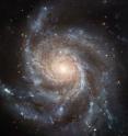 This Hubble image reveals the gigantic Pinwheel Galaxy (M101), one of the best known examples of "grand design spirals," and its star-forming regions in unprecedented detail. Astronomers have searched galaxies like this in a hunt for the progenitors of Type Ia supernovae, but their search has turned up mostly empty-handed.