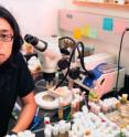 Yoichiro Tamori is a postdoctoral fellow at the Florida State University Department of Biological Science.