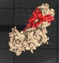 An image of the structure of the cell-entry protein complex from herpes simplex virus type 2. One protein is represented in red, the other in beige. The background shows the X-ray diffraction pattern used to determine the structure of the protein complex.