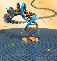 University of Pennsylvania researchers developed a carbon-based, nanoscale platform to electrically detect single DNA molecules. Electric fields push tiny DNA strands through atomically-thin graphene nanopores that ultimately may sequence DNA bases by their unique electrical signature.