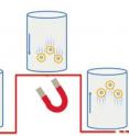 An external magnetic field attracts the nanoparticles by their magnetic cores. When the field is turned off, the tissue relaxes and the particles return to their initial positions.