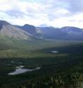 This is the Kunijok Valley in the north of Khibiny Low Mountains (central Kola Peninsula in Arctic Russia).