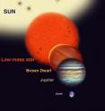 This graphic shows the range of sizes of a brown dwarf compared to Jupiter and the Sun and the Earth (to scale). Brown dwarfs are more massive than planets but less massive than stars. But they have similar diameters to planets such as Jupiter. This graphic shows the range of sizes of a brown dwarf compared to Jupiter and the Sun and the Earth (to scale). Brown dwarfs are more massive than planets but less massive than stars. But they have similar diameters to planets such as Jupiter.