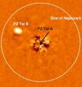 This graphic shows the sun-like star, PZ Tel A and its brown dwarf companion, PZ Tel B. The vast majority of light from PZ Tel A has been removed from this image using specialized image analysis techniques. For size comparison, the size of Neptune's orbit is shown; PZ Tel B is one of few brown dwarfs imaged at a distance closer than 30 Astronomical Units from its parent star. It travels around its star at a closer distance than Uranus revolves around our sun. This graphic shows the sun-like star, PZ Tel A and its brown dwarf companion, PZ Tel B. The vast majority of light from PZ Tel A has been removed from this image using specialized image analysis techniques. For size comparison, the size of Neptune's orbit is shown; PZ Tel B is one of few brown dwarfs imaged at a distance closer than 30 Astronomical Units from its parent star. It travels around its star at a closer distance than Uranus revolves around our sun.
