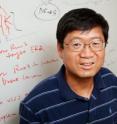 University of Illinois medical biochemistry professor Lin-Feng Chen and his colleagues discovered a mechanism directly linking a protein associated with <i>H. pylori</i> infection of the stomach and stomach cancer.