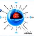 This is a schematic of an iron oxide nanoparticle.