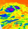 This infrared image from NASA's AIRS instrument shows some strong convection and high, cold cloud tops (purple) around Tropical Depression 4's (TD4) center on August 2 at 11:59 a.m. EDT. 17 hours later TD4 strengthened into Tropical Storm Colin. This infrared image from NASA's AIRS instrument shows some strong convection and high, cold cloud tops (purple) around Tropical Depression 4's (TD4) center on August 2 at 11:59 a.m. EDT. 17 hours later TD4 strengthened into Tropical Storm Colin.