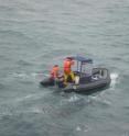 Using a small boat, researchers were able to measure the amount of krill in shallow, close to shore areas near fur seal and penguin colonies on Livingston Island. These waters were previously inaccessible to researchers.