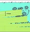 This is a diagram of biomolecules between sheets of mica in a primitive ocean. The green lines depict mica sheets and the gray structures depict various ancient biological molecules and fatty vesicles. In the "between the sheets" mica hypothesis, water may have moved in and out of the spaces between stacks of sheets, thereby forcing the sheets to move up and down. This kind of energy may have ultimately pushed biological molecules and/or fatty acids together to form cells.