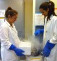 Summer interns Malia Paresa and Kelly Martorana place coral into the frozen repository.