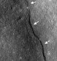 Over recent geologic time, as the lunar interior cooled and contracted  the entire Moon shrank by about 100 m. As a result its brittle crust ruptured and thrust faults (compression) formed distinctive landforms known as lobate scarps. In a particularly dramatic example, a thrust fault pushed crustal materials (arrows) up the side of the farside impact crater named Gregory (2.1°N, 128.1°E). By mapping the distribution and determining the size of all lobate scarps, the tectonic and thermal history of the Moon can be reconstructed over the past billion years.