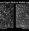 Japanese amateur astronomers discovered Nova Cygni 2010 in an image taken at 19:08 UT on March 10 (4:08 a.m. Japan Standard Time, March 11). The erupting star (circled) was 10 times brighter than in an image taken several days earlier. The nova reached a peak brightness of magnitude 6.9, just below the threshold of naked-eye visibility.