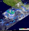 The Tropical Rainfall Measuring Mission (TRMM) satellite  flew over Frank this morning, Aug. 24 at 0924 UTC (5:24 a.m. EDT) and noticed deep convection around Frank's circulation center. TRMM's microwave imagery also saw tightly curved bands of thunderstorms wrapping around the center of Frank. The yellow and green areas indicate moderate rainfall between .78 to 1.57 inches per hour.