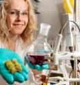 Following her proof of concept for chemzymes neutralizing a natural poison, chestnut toxins are just the beginning for chemist Jeannette Bjerre. Following her proof of concept for chemzymes neutralizing a natural poison, chestnut toxins are just the beginning for chemist Jeannette Bjerre.