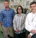 Kirill A. Afonin, Cody Geary and Luc Jaeger are researchers at   	 University of California - Santa Barbara.