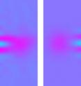 These colorized plots of electric field values indicate how closely the NIST "quantum cats" (left) compare with theoretical predictions for a cat state (right). The purple spots and alternating blue contrast regions in the center of the images indicate the light is in the appropriate quantum state.